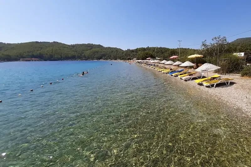Akbük Koyu Plajı Nerede? Muğla Gökova Kıyılarında Keşif Rehberi