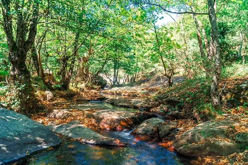 Iznik tacir kanyonu orman ici yuruyus