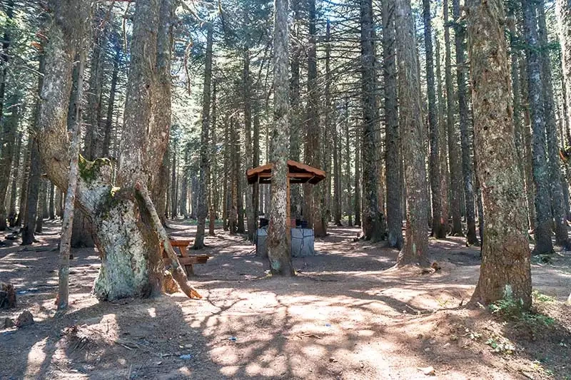 Uludag sarialan piknik yerleri