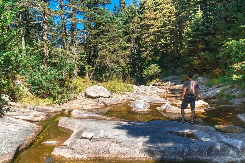 Uludag softabogan selalesi dere icinden yuruyus