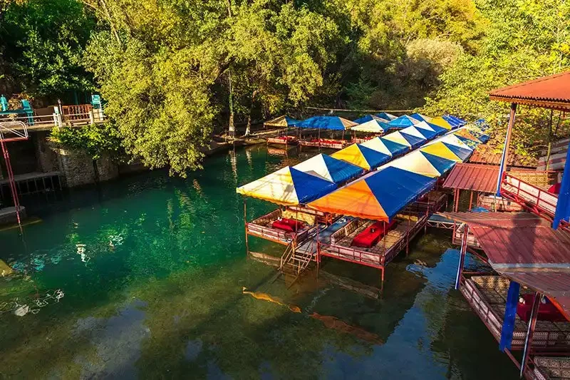 Alanya dim cayi tesisleri
