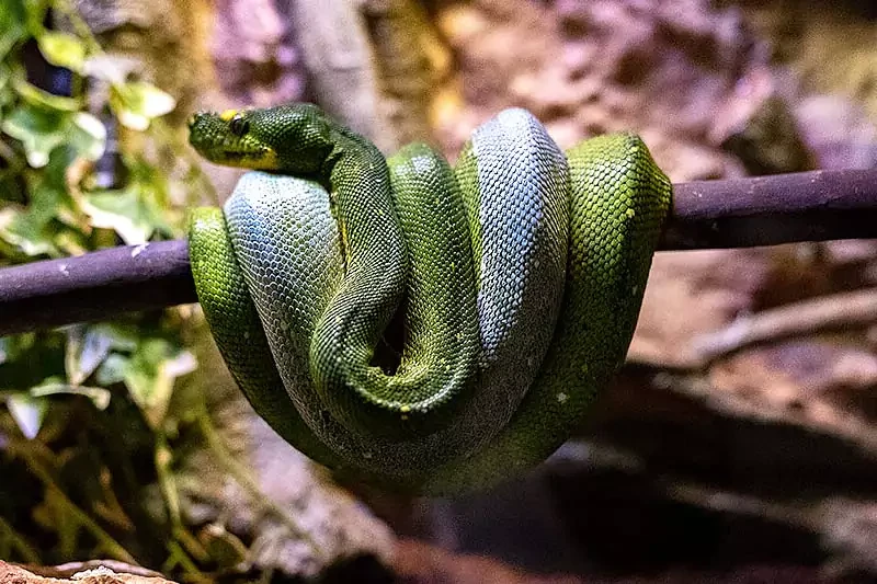 Antalya aquarium wildpark