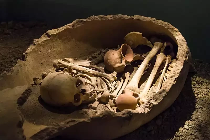 Antalya arkeoloji muzesi kemikler