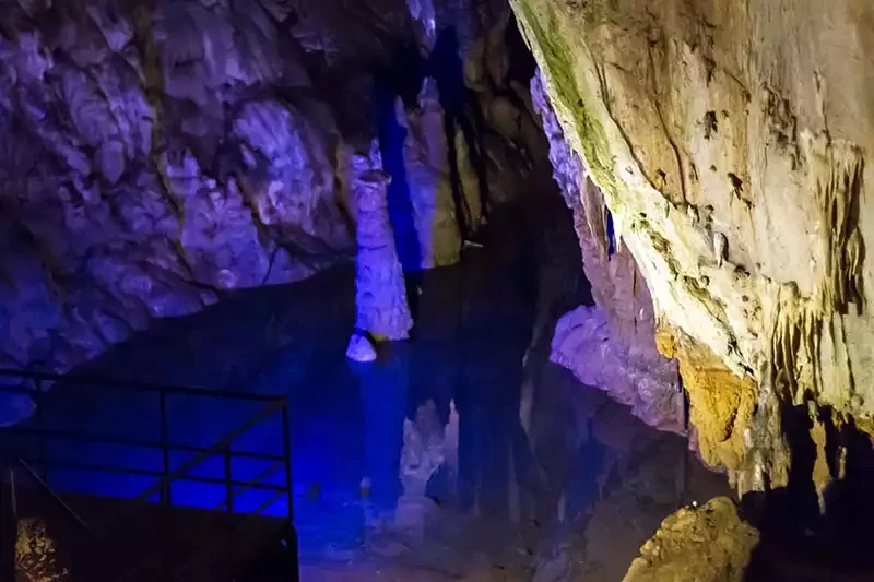Dim magarasi golet