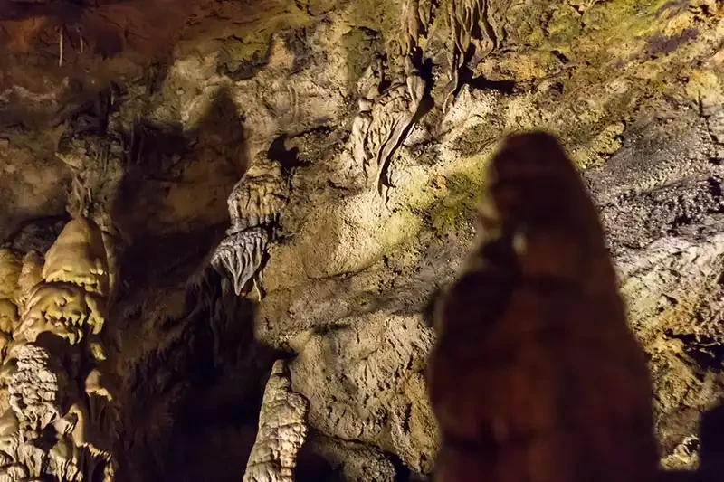 Dim magarasi sarkitdikit