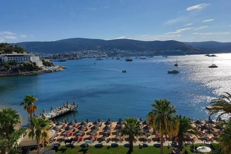 Bardakçı Koyu Nerede? Bodrum Merkezinde Tercih Edilen Sahili