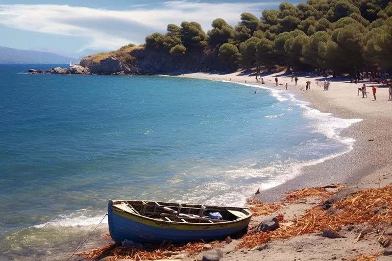 Katranci koyu orman kampi plaji