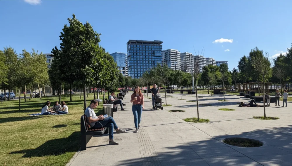 Aytekin kotil parki cim alanlar dinlenme