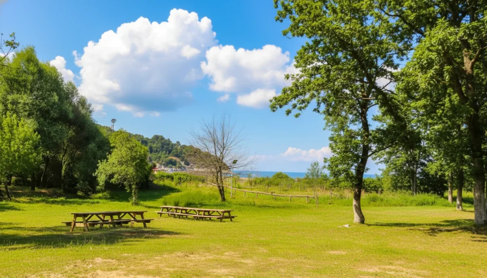 Cilingoz tabiat parki piknik kamp alani