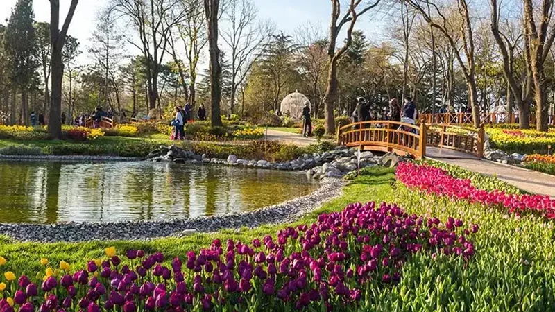 Emirgan Korusu Gezi Rehberi: Lale Festivali, Kahvaltı Fiyatları ve Ulaşım (2025)