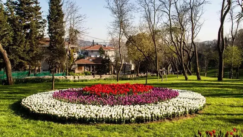 Emirgan korusu lale bahceleri