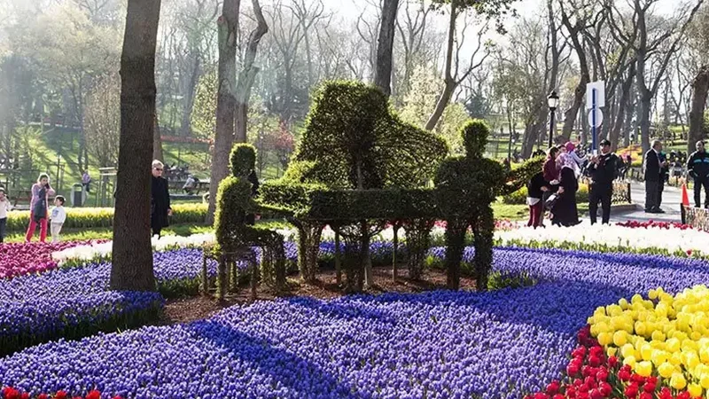 Emirgan korusu lale festivali