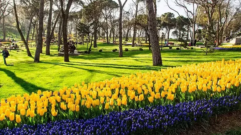 Emirgan korusu piknik alanlari