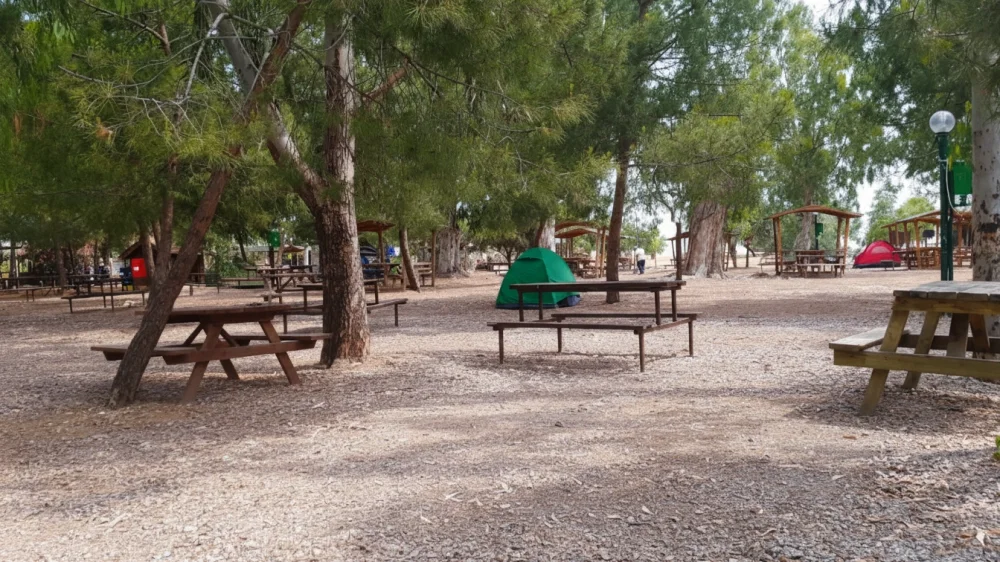 Gümüldür Orman Kampı Bungalov ve Çadır Fiyatları 2025: Açık mı?