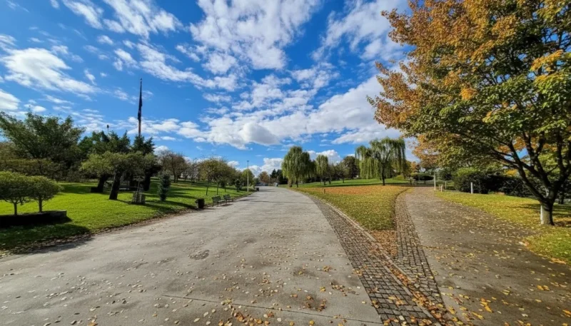 Harikalar diyari piknik alani sonbahar