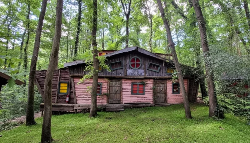 Ormanya hobbit koyu fantastik evler