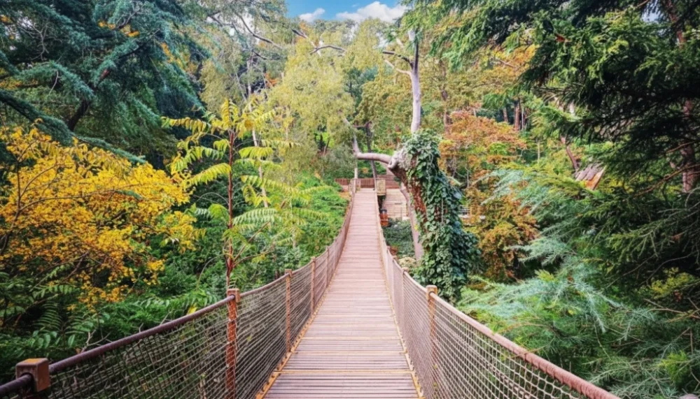 Yildiz park wooden suspension bridge nature