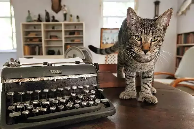 Ernest Hemingway Home and Museum: Cats, History & Visitor Guide