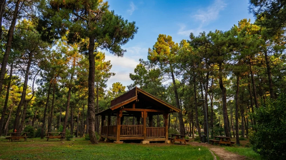 İBB Sancaktepe Orman Parkı ve Mesire Alanı: Giriş Ücreti, Mangal ve Ulaşım