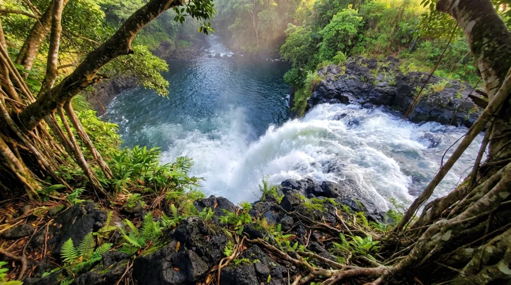 Rainbow Falls Hilo Guide: Best Time for Rainbows & Hiking Tips