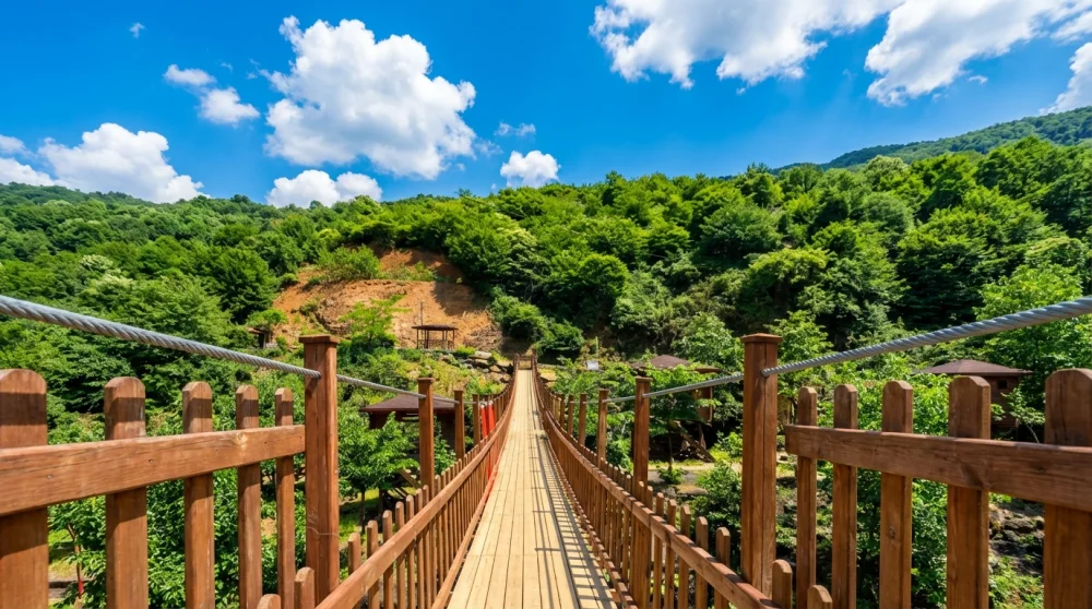 Agaran selalesi aktiviteleri