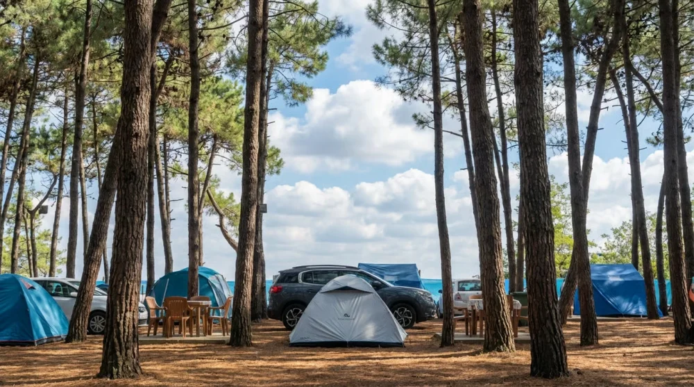 Erikli Kamp Alanları: Saros'un En İyi Ücretli ve Ücretsiz Çadır Yerleri