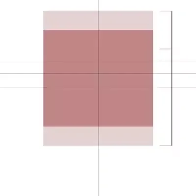 Evde biyometrik fotograf cekimi vize foto sablonu