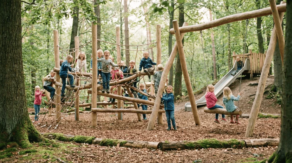 Orman i&ccedil;inde doğal ahşap malzemelerden yapılmış g&uuml;venli &ccedil;ocuk oyun alanı