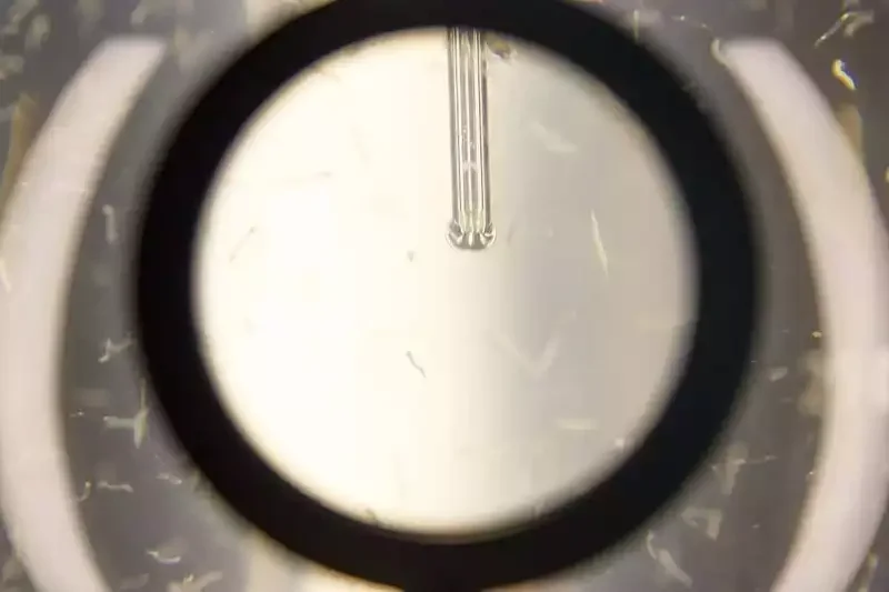 Micropia amsterdam museum exhibitions