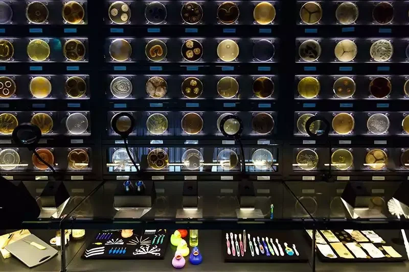 Micropia amsterdam museum exhibits