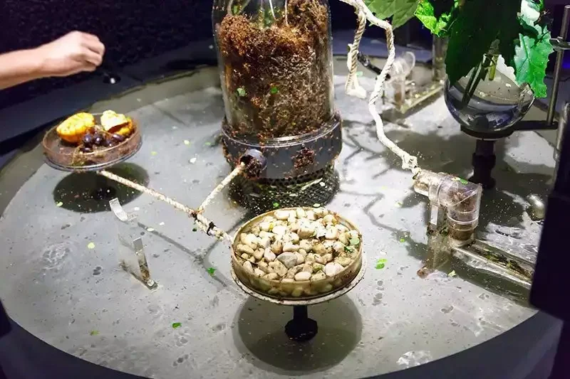 Micropia Amsterdam: Tickets, Hours & Is It Worth It?