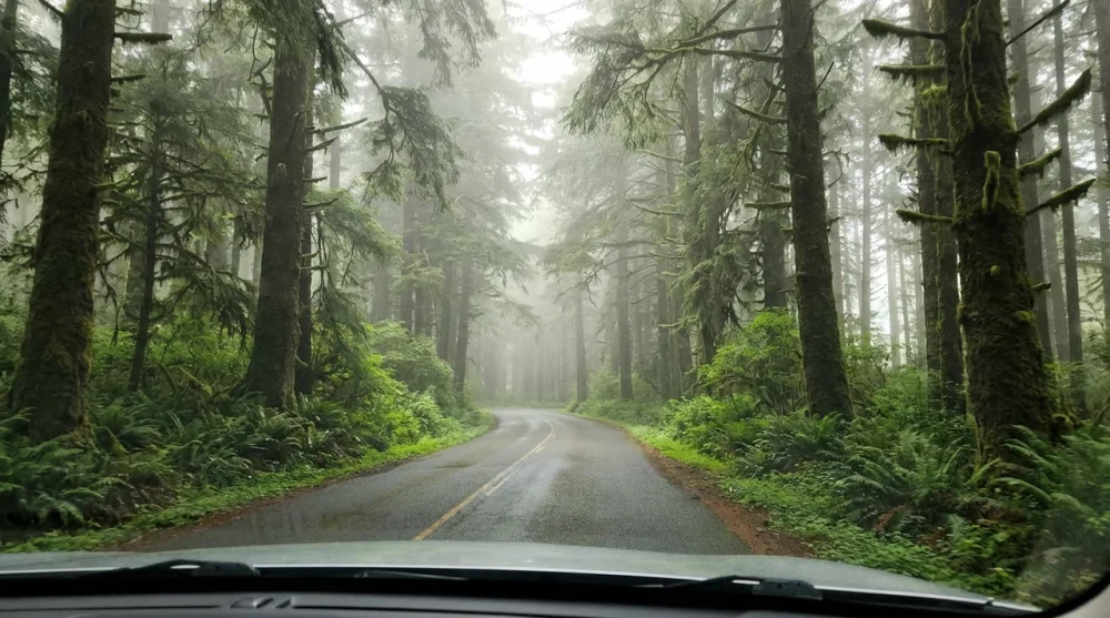 Oregon coast day trip from portland drive