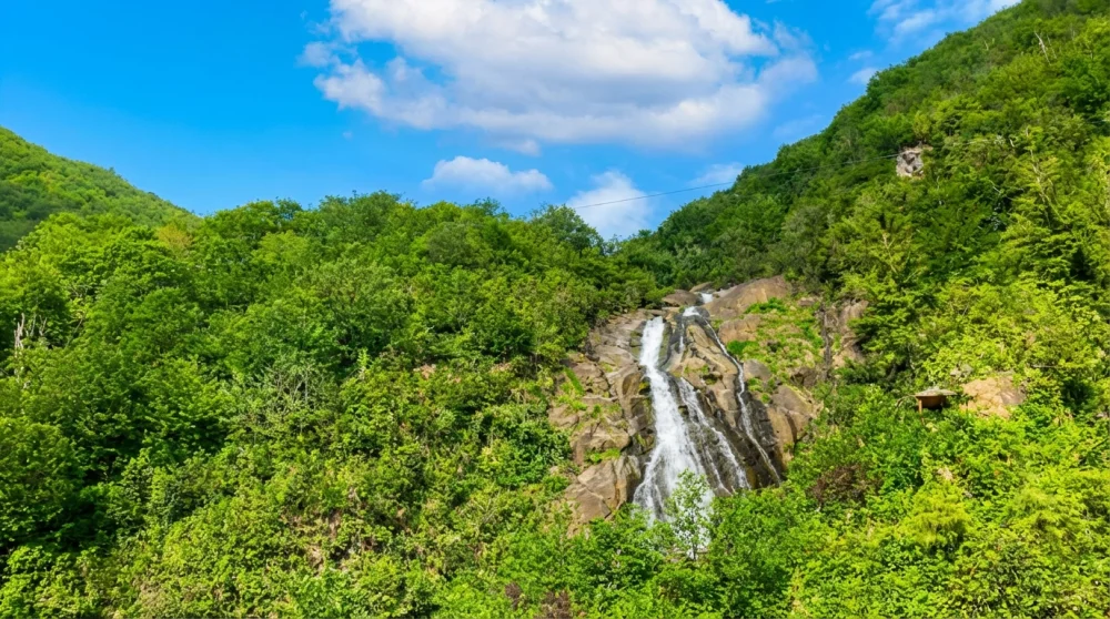 Rize agaran selalesi nerede