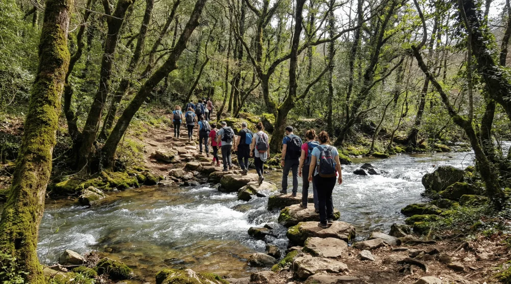 Şile Hacıllı ormanlarında dere ge&ccedil;işli zorlu trekking ve y&uuml;r&uuml;y&uuml;ş parkuru