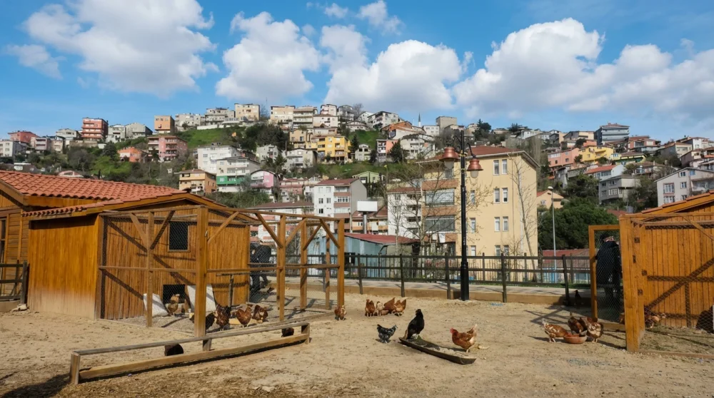 Uskudar cocuk koyu nerede nasil gidilir