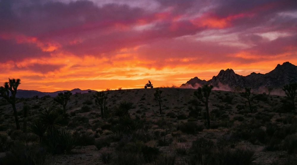 Valley of fire atv tour scenery