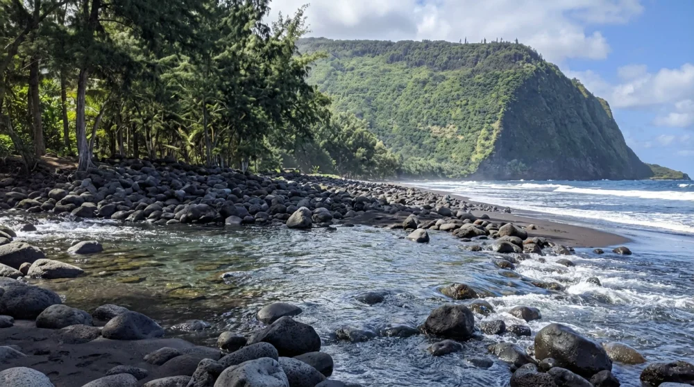 Waipio valley black sand beach guide