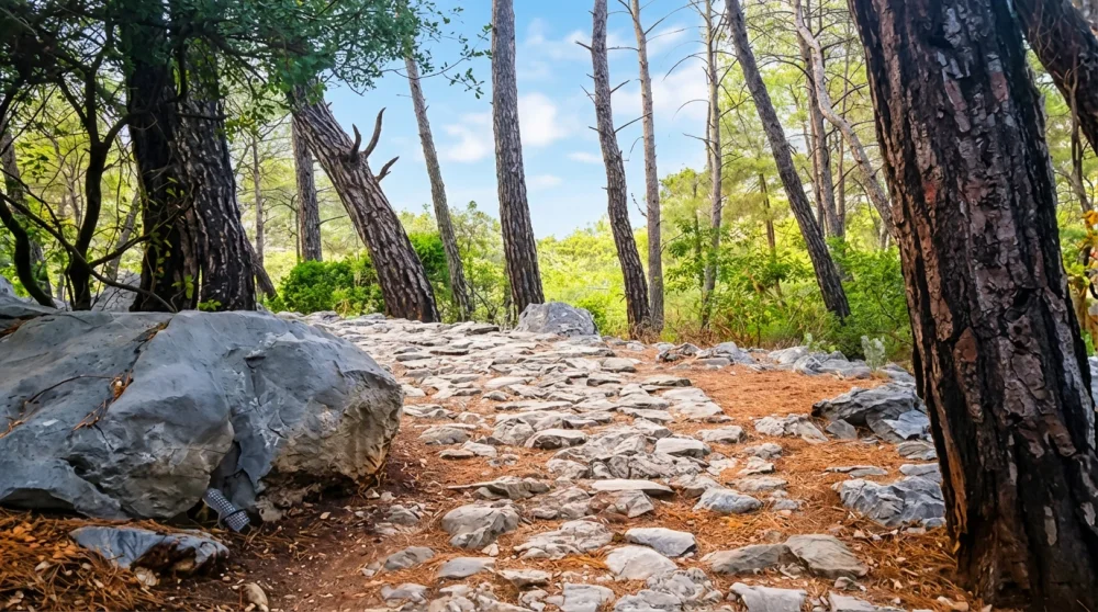 Yanartas cirali nerede nasil gidilir