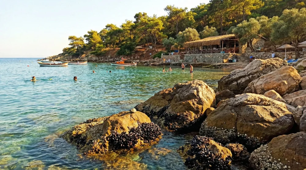 Heybeliada Akvaryum Koyu, kayalıklar ve berrak deniz