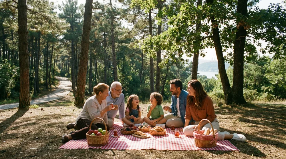 Arnavutk&ouml;y ormanlarında g&uuml;neş ışınları altında piknik yapan aile yemyeşil doğa manzarası