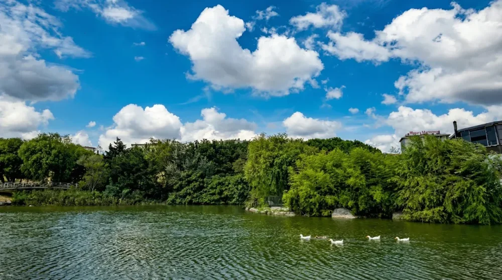 Bakirkoy botanik parki nerede nasil gidilir
