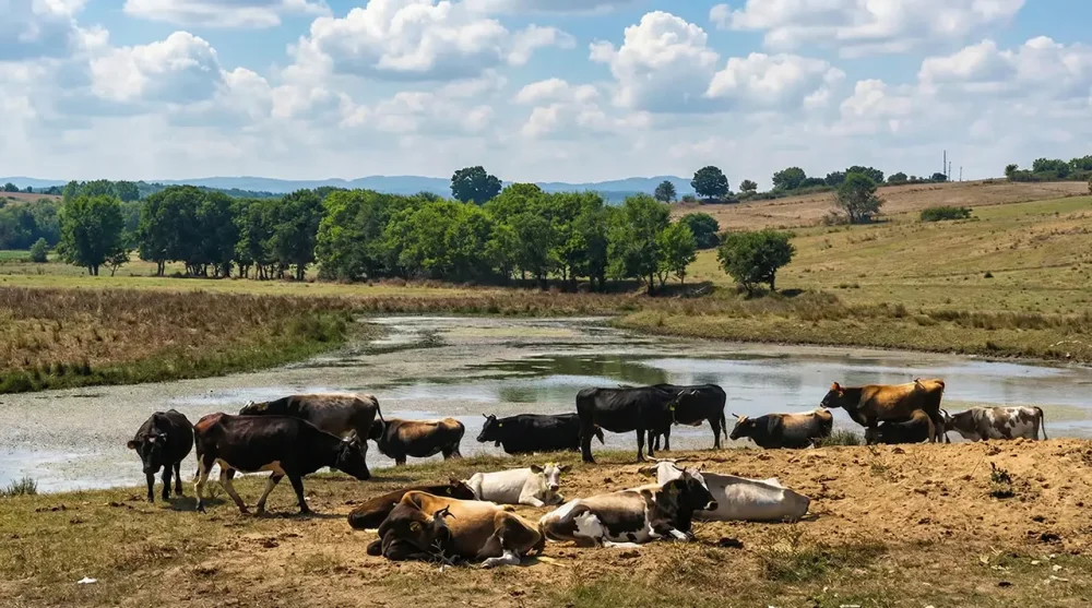 Beğendik Köyü: Türkiye'nin En Batı Ucu ve Sınırı