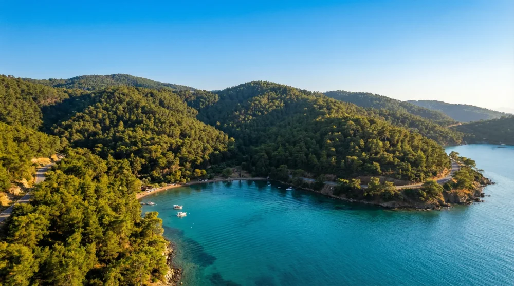 Bodrum Cennet Koyu: Ulaşım, Kamp ve Deniz Özellikleri