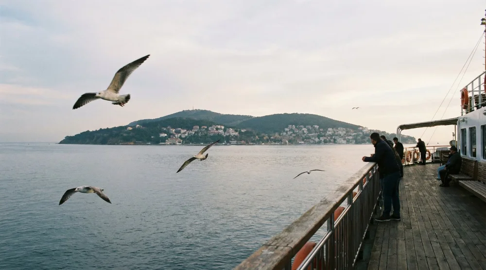 Vapur g&uuml;vertesinden Burgazada manzarası ve u&ccedil;uşan martılar