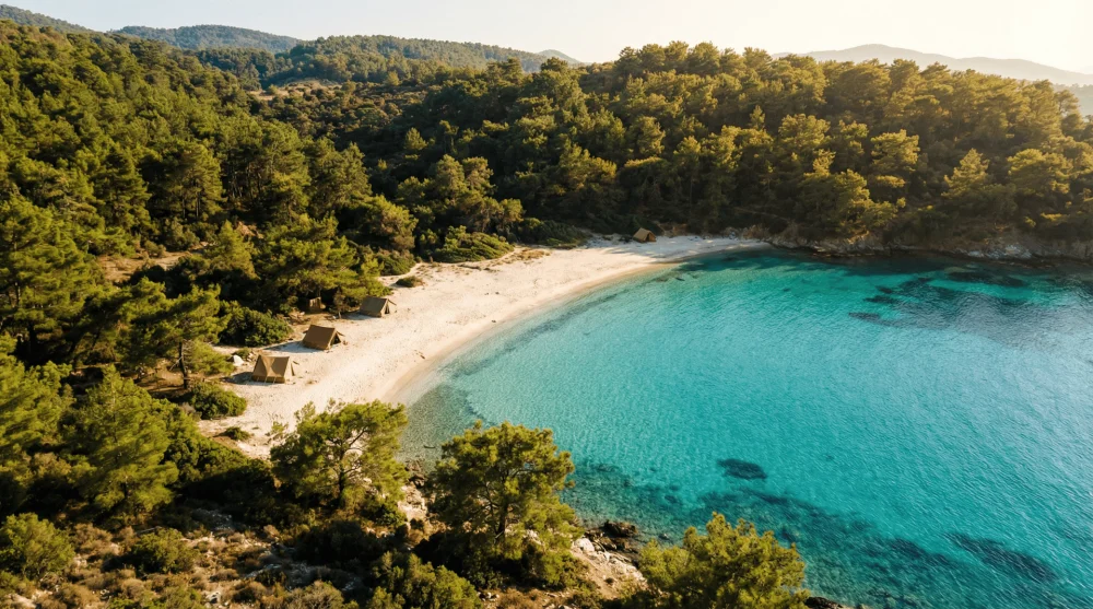 Bodrum Cennet Koyu turkuaz deniz ve çam ormanları arasındaki ücretsiz kamp alanı