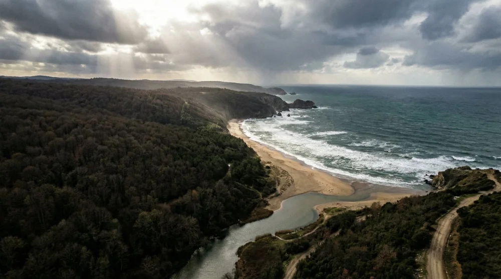 Çatalca Çilingöz Tabiat Parkı orman ve denizin birleştiği kumsal manzarası