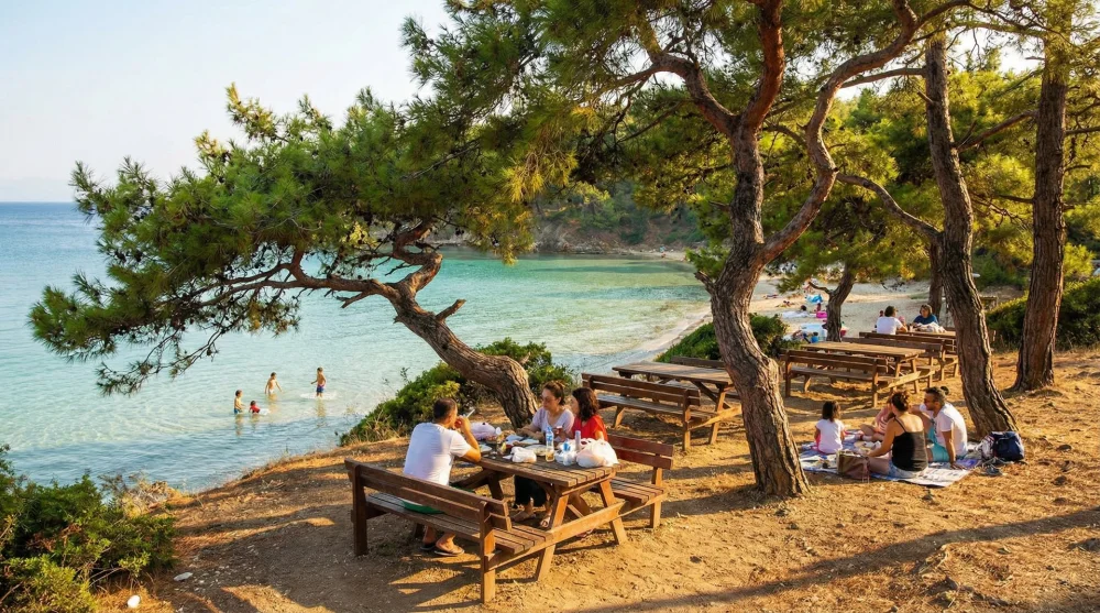 Değirmenburnu Tabiat Parkı piknik masaları ve sığ deniz manzarası
