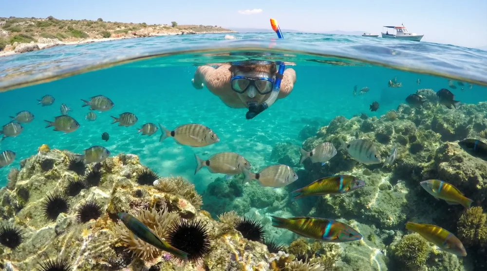 Dikili Akvaryum Koyu'nun dibi görünen cam gibi berrak suları