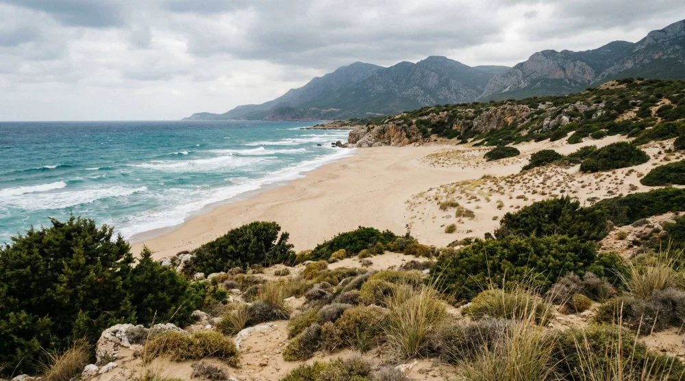 Tesis bulunmayan bakir Evcik Plajı ve doğal kumsal g&ouml;r&uuml;n&uuml;m&uuml;