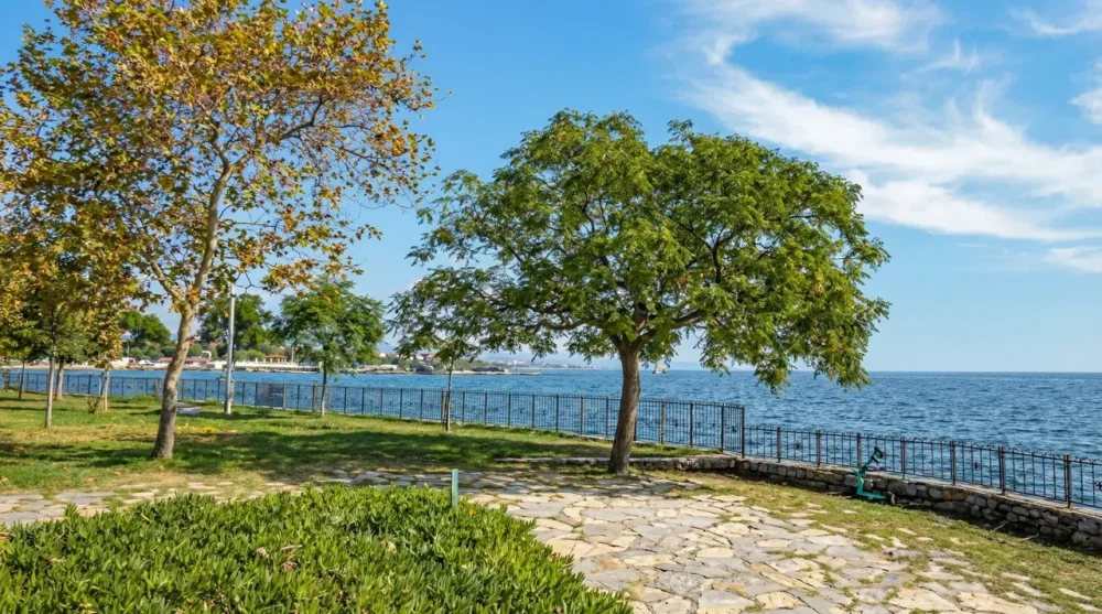 Fenerbahçe Parkı Gezi ve Kahvaltı Seçenekleri